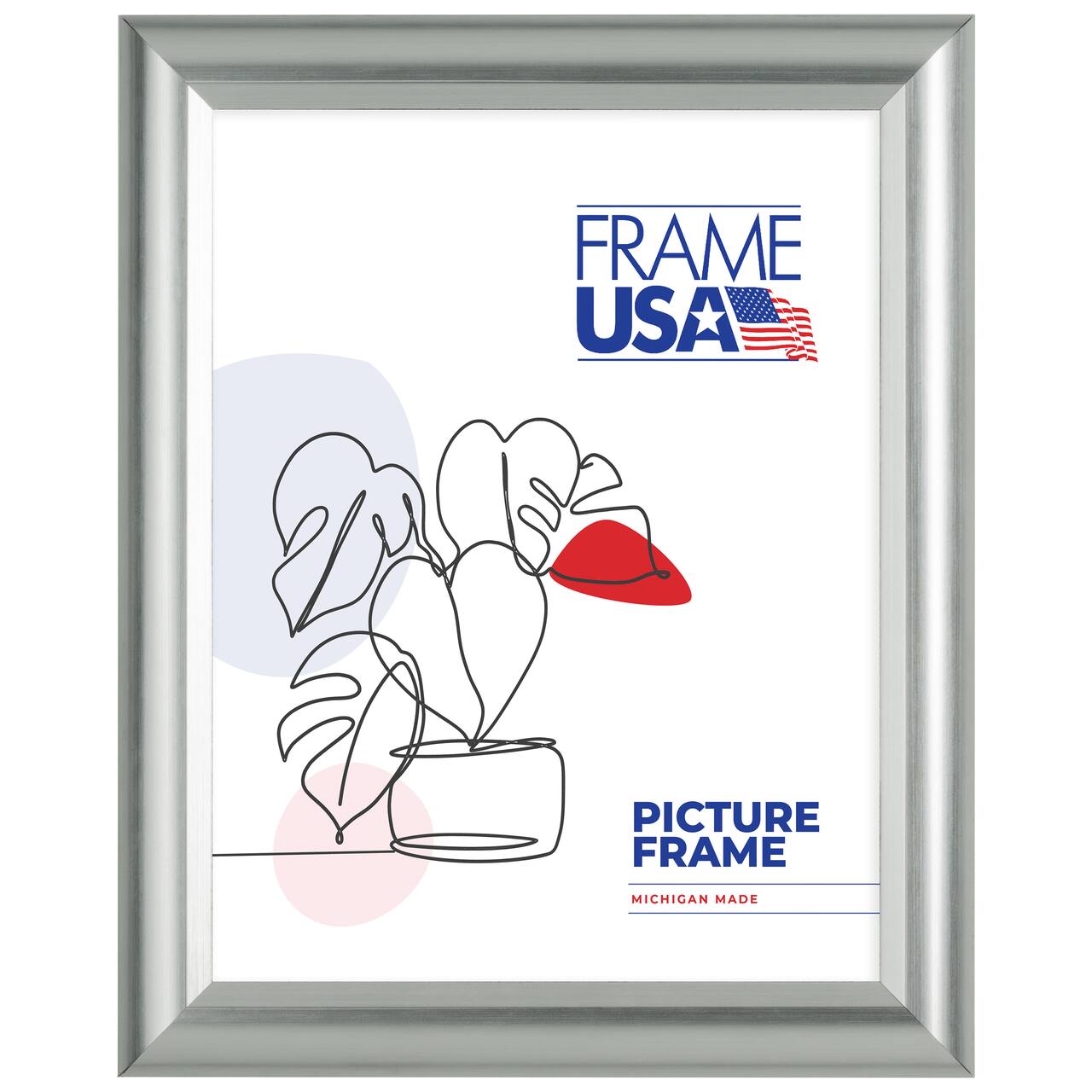 Frame USA Deluxe Poster Silver Single Image Picture Frame